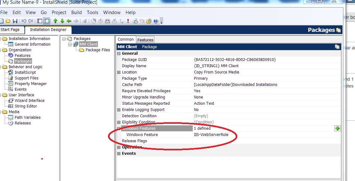 Adding IIS Feature to a Suite Package