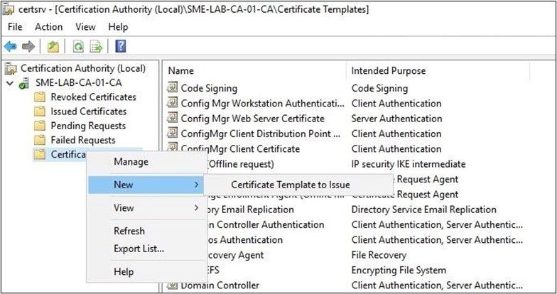 cert template to issue.jpg
