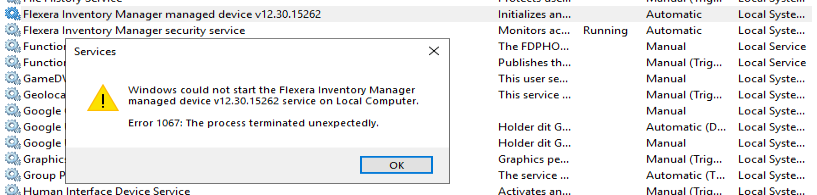 Flexera Inventory Manager service error.png